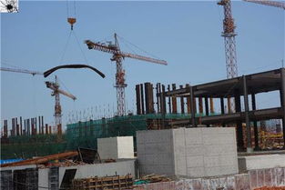 前海掃描映像 桂廟路主隧道開(kāi)挖與月亮灣立交橋動(dòng)工勘探同步推進(jìn)